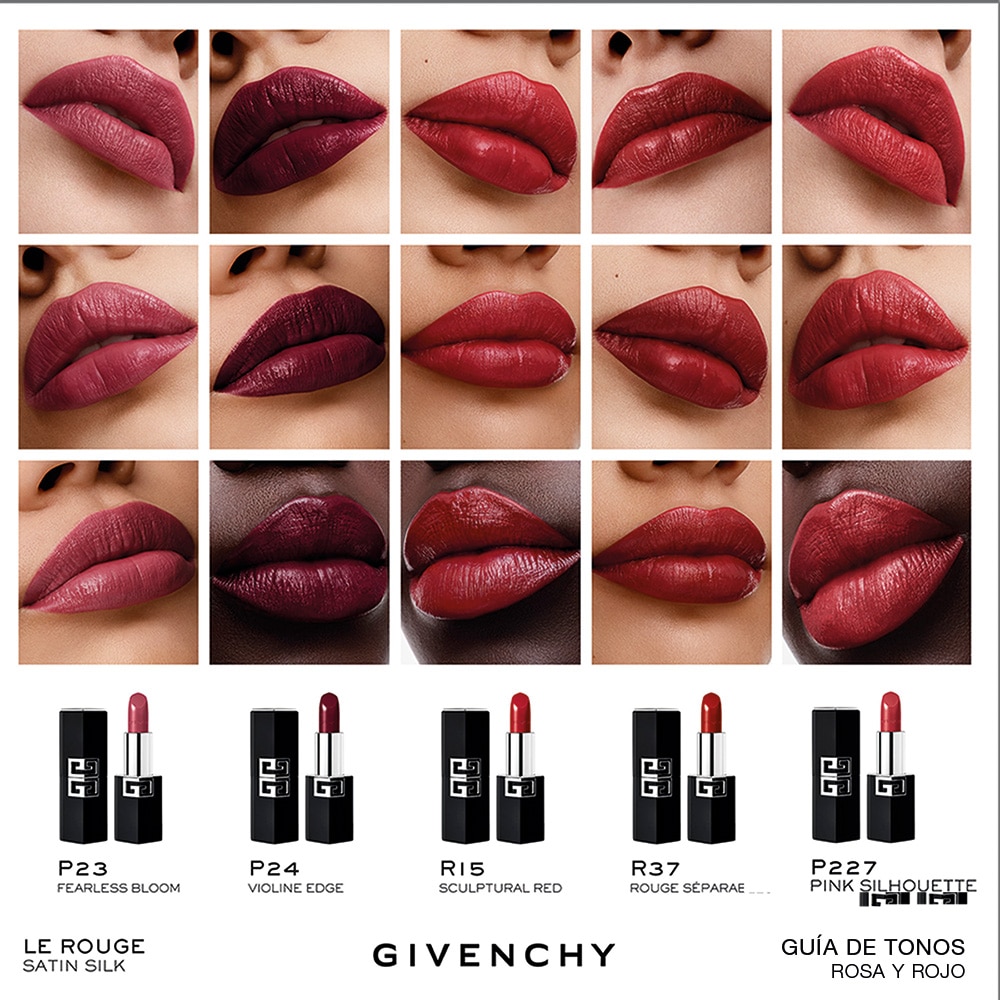 LE ROUGE SATIN SILK (LABIAL DE ALTA DEFINICI&Oacute;N)